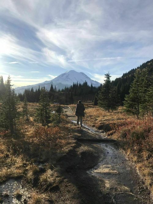 A person walks along a muddy trail surrounded by trees, with a snow-capped mountain in the background under a blue sky.