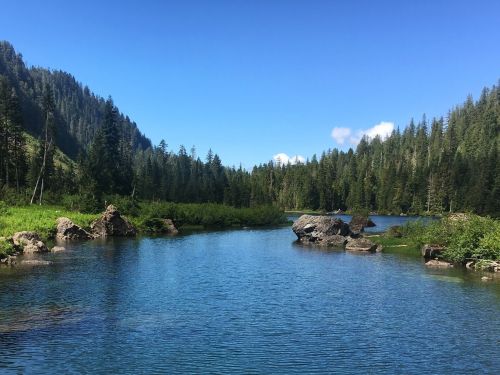 A serene river flows through a lush green landscape, surrounded by tall trees and rocky outcrops under a clear blue sky.