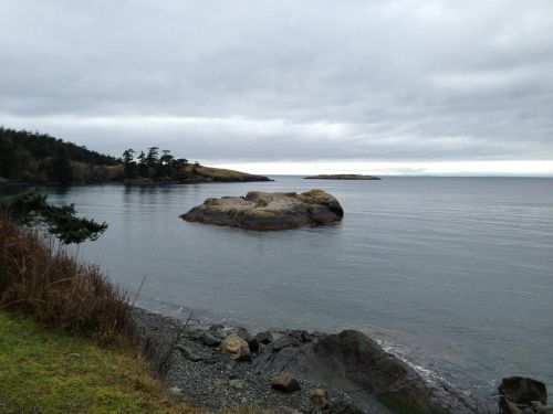 A calm coastal scene featuring a rocky island, gentle waves, and overcast skies. Green grass and trees line the shore.