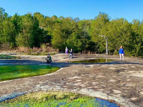 A group of people exploring a rocky area with small pools of water, surrounded by greenery and trees under a clear blue sky.