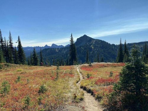 A winding trail through a vibrant, red and green meadow, leading to distant mountains under a clear blue sky.