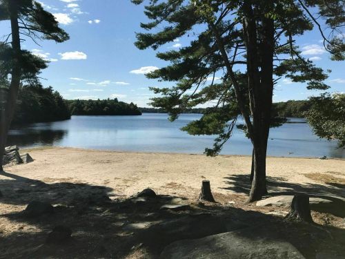 A serene lake view with sandy beach, surrounded by trees and a clear blue sky with scattered clouds.