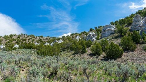 A scenic landscape featuring green shrubs and trees on a hillside with rocky formations under a blue sky.