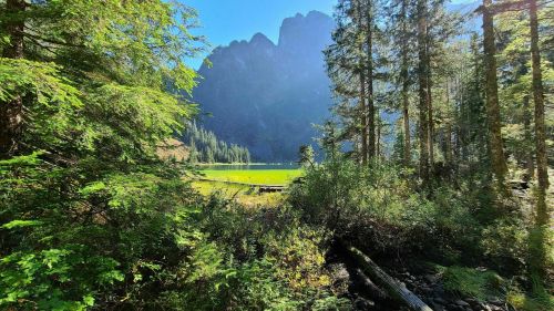 A serene landscape featuring a green lake surrounded by tall trees and mountains under a clear blue sky.