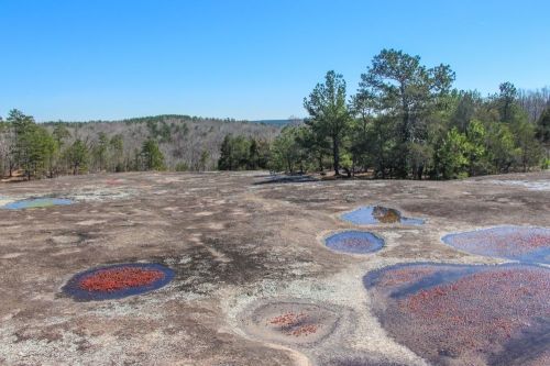A rocky landscape with colorful patches and small water pools, surrounded by trees under a clear blue sky.