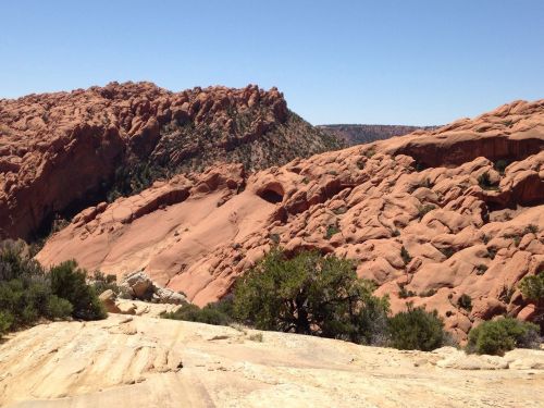 A rugged landscape of red rock formations under a clear blue sky, with sparse vegetation in the foreground.