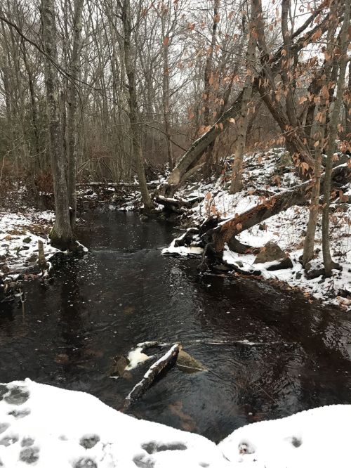 A serene winter scene featuring a dark stream surrounded by bare trees and patches of snow on the ground.