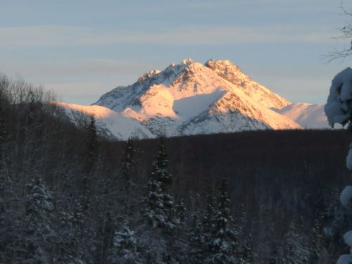 Snow-capped mountain peaks bathed in golden sunlight, surrounded by evergreen trees and a clear blue sky.