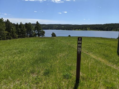 A grassy area with a trail marker leading to a lake surrounded by trees under a clear blue sky.