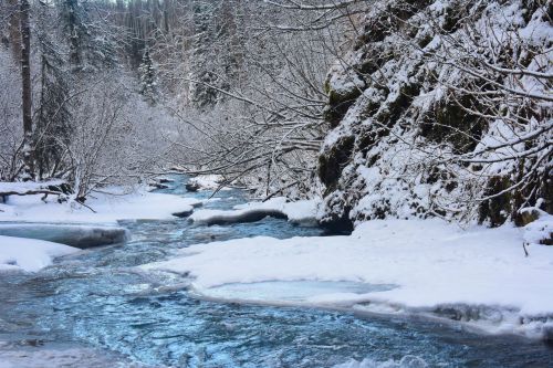 A serene winter scene featuring a frozen river surrounded by snow-covered trees and rocky banks.