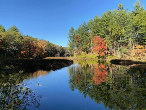 A serene pond surrounded by colorful autumn trees reflecting in the water under a clear blue sky.
