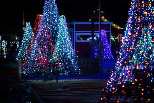 Colorful Christmas trees adorned with bright lights in a festive nighttime setting.