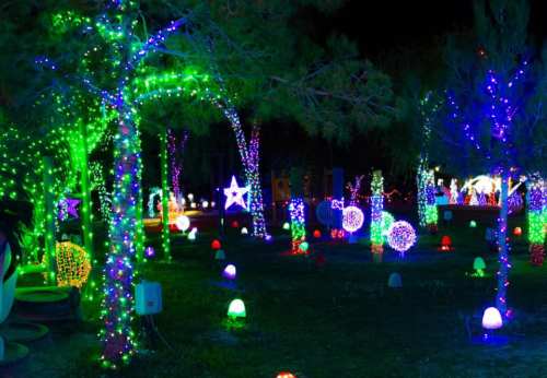 A vibrant display of colorful holiday lights illuminating trees and decorations in a nighttime garden setting.
