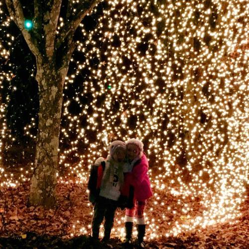 Two children stand together in front of a sparkling backdrop of warm holiday lights.
