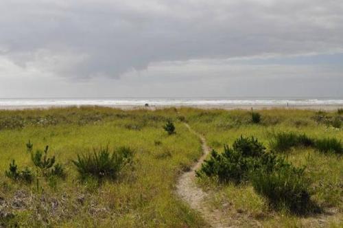 A sandy path leads through green grass to a beach with gentle waves under a cloudy sky.