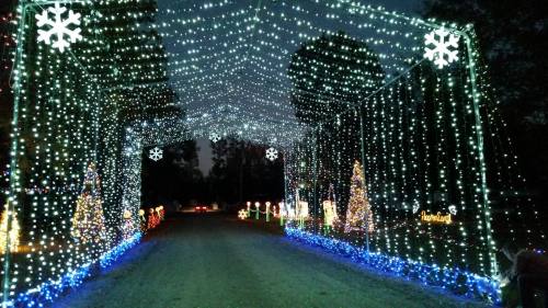 A festive pathway adorned with twinkling lights and snowflake decorations, leading to a holiday display.