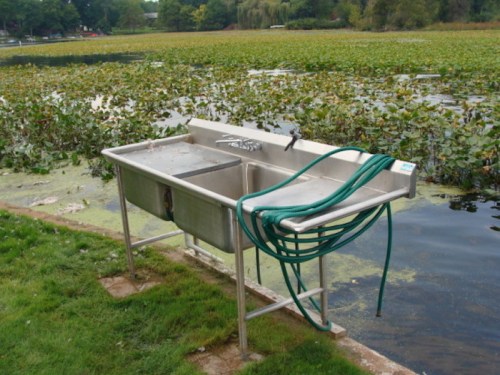 A stainless steel sink with a green hose, situated near a pond covered in lily pads and surrounded by grass.
