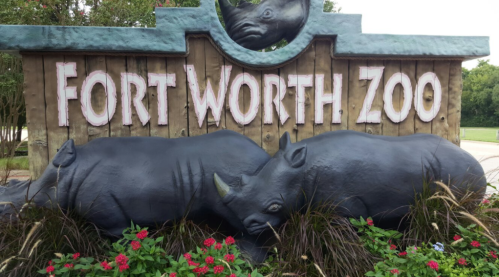 Sign for Fort Worth Zoo featuring two rhino sculptures and colorful flowers in front.
