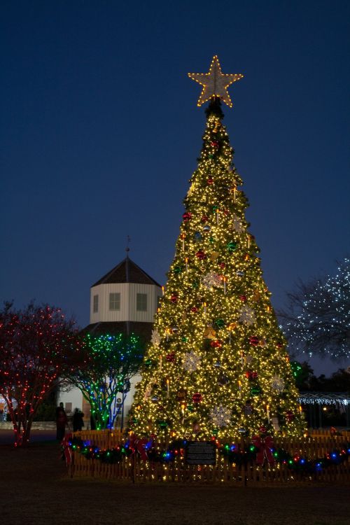 A beautifully lit Christmas tree adorned with decorations and a star on top, set against a twilight sky.
