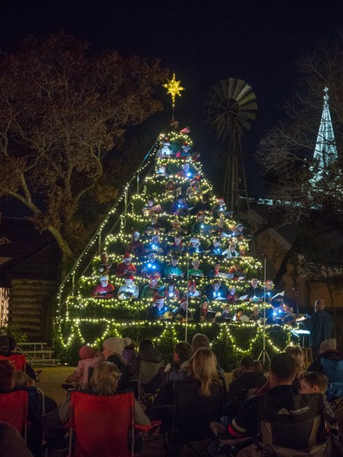 A decorated Christmas tree with lights and ornaments, surrounded by an audience sitting on chairs at night.