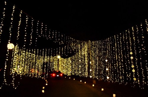 A pathway illuminated by strings of bright lights, creating a festive atmosphere at night.