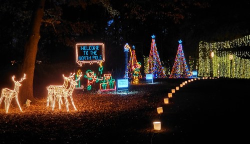 Colorful holiday lights decorate a path with trees, reindeer, and a sign reading "Welcome to the North Pole."