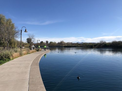 A serene lake with a curved path, surrounded by trees and people walking, under a clear blue sky. Ducks swim in the water.