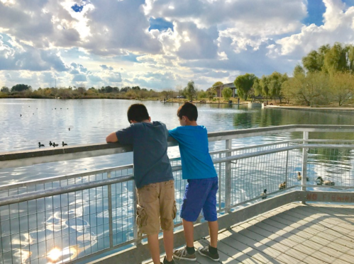 Two boys lean over a railing by a lake, watching ducks swim under a cloudy sky.