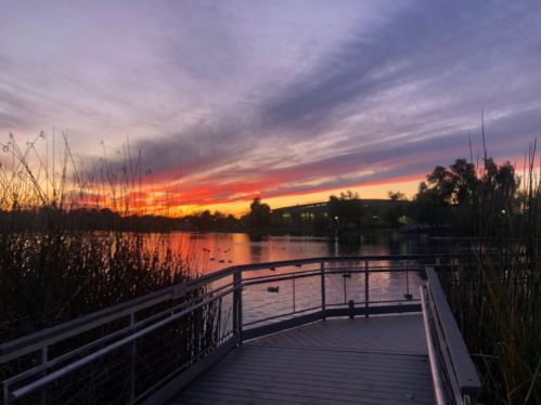 A serene sunset over a lake, with vibrant colors reflecting on the water and silhouettes of reeds in the foreground.