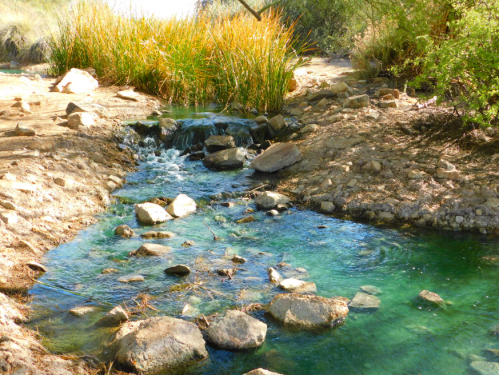 A serene stream flows through a rocky landscape, surrounded by lush greenery and sunlight filtering through the trees.