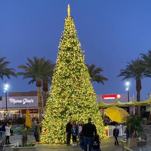 A large, decorated Christmas tree with lights stands in a plaza surrounded by palm trees and festive decorations.