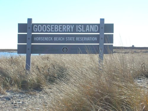 Sign for Gooseberry Island at Horseneck Beach State Reservation, surrounded by tall grass and a clear blue sky.