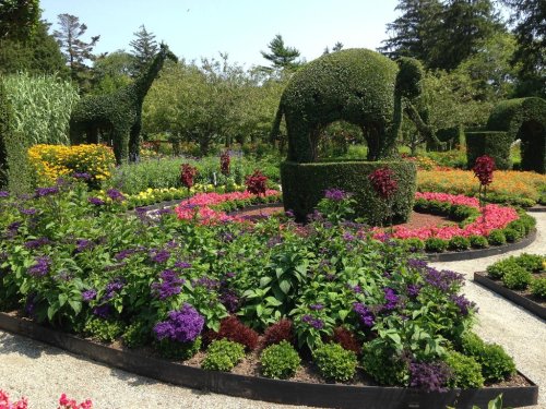 A vibrant garden featuring topiary animals among colorful flowers and lush greenery.