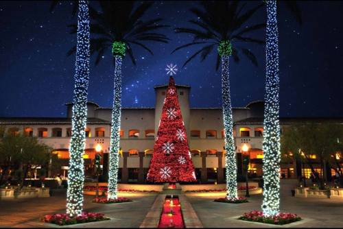 A festive scene featuring a large decorated Christmas tree surrounded by palm trees and twinkling lights at night.