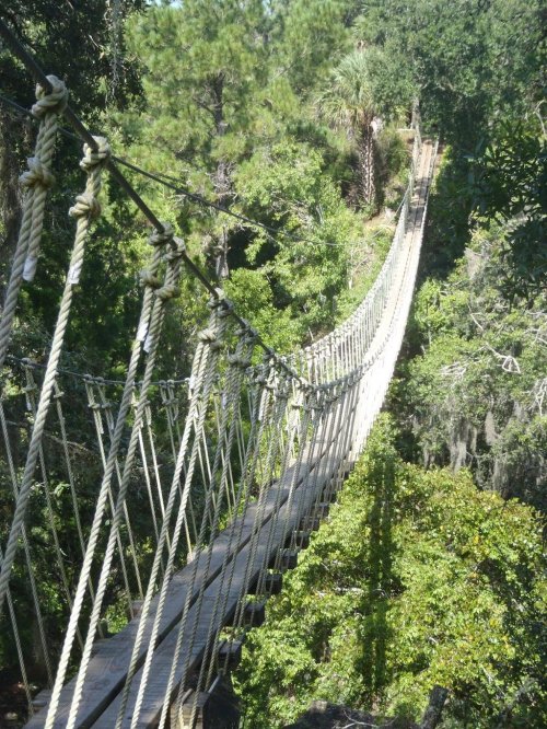 A long suspension bridge made of wood and rope stretches over a lush green forest.