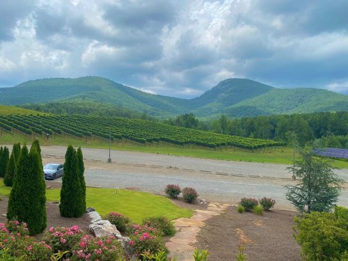 A scenic view of rolling hills and vineyards under a cloudy sky, with a gravel road and landscaped foreground.