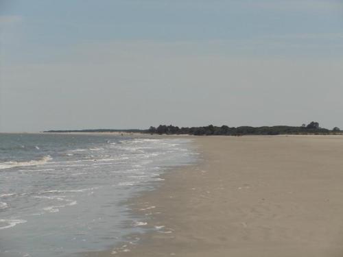 A serene beach scene with gentle waves lapping at the shore and a distant line of trees along the coastline.