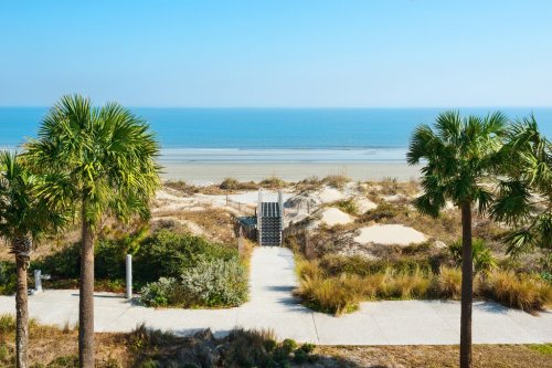 A serene beach view with palm trees, sandy dunes, and a pathway leading to the ocean under a clear blue sky.