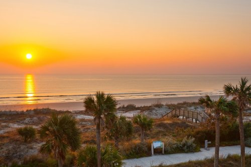 Sunrise over a calm beach, with palm trees in the foreground and a wooden walkway leading to the shore.