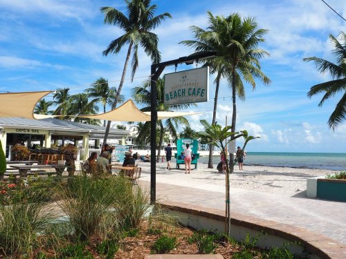 A beach café sign near palm trees, with people enjoying the seaside view and sandy beach in the background.