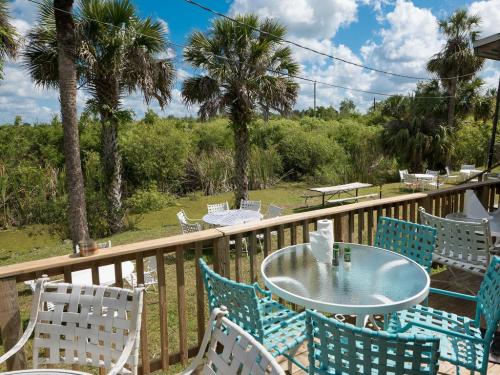 A sunny outdoor seating area with turquoise chairs and a table, surrounded by lush greenery and palm trees.