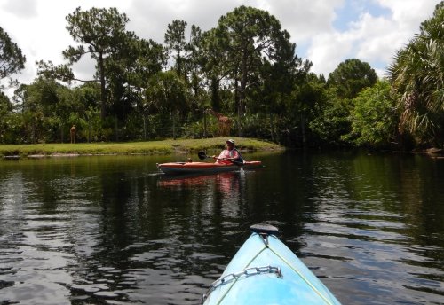 A person in a kayak paddles on a calm waterway, surrounded by lush greenery and a distant giraffe.