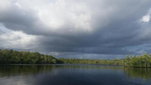 A serene lake surrounded by lush greenery under a cloudy sky, reflecting the landscape on the water's surface.