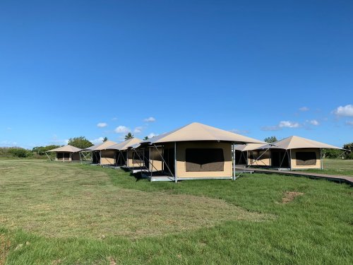 A row of beige canvas tents on a grassy field under a clear blue sky.