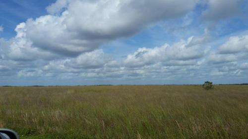 A vast grassy landscape under a blue sky filled with fluffy white clouds.