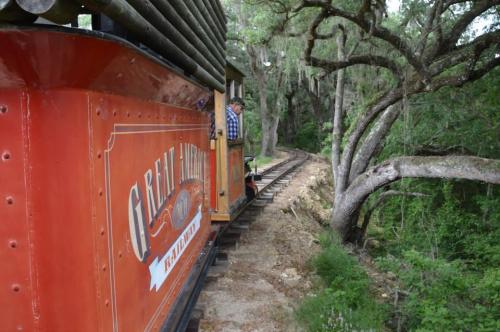 A vintage train car on a narrow track surrounded by lush greenery and trees. A person leans out of the train.