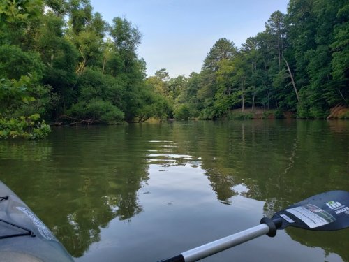 A serene view of a calm river surrounded by lush green trees, with a kayak paddle in the foreground.