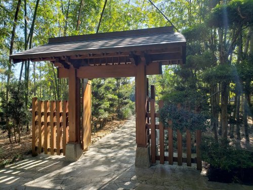 A wooden gate leads into a serene garden surrounded by lush greenery and bamboo. Sunlight filters through the trees.
