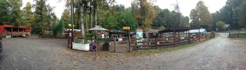 A panoramic view of a rustic outdoor market surrounded by trees, featuring stalls and a gravel path.