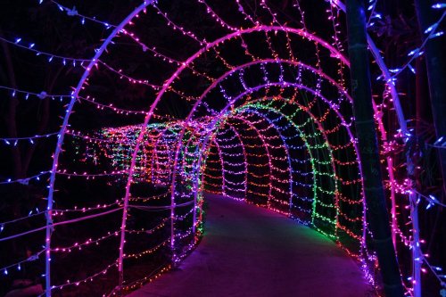 A colorful tunnel of vibrant pink, purple, and green lights illuminating a pathway.